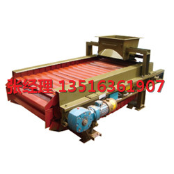 DX-B链板式定量给料机